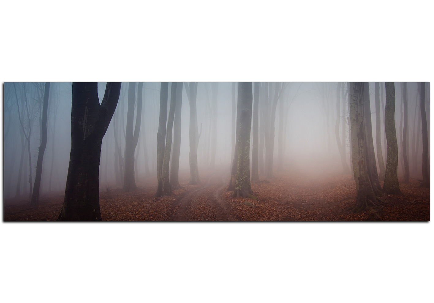 Obraz na plátně - Mlha v lese - panoráma Obraz na plátně - Mlha v lese - panoráma
